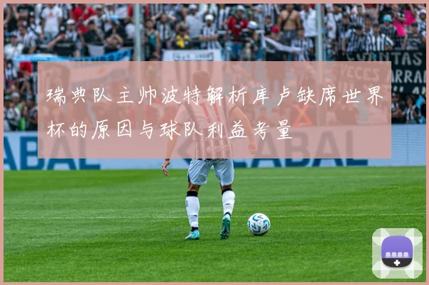 瑞典队主帅波特解析库卢缺席世界杯的原因与球队利益考量